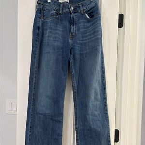 Abercrombie & Fitch "The 90s Relaxed Jean" High Rise "Curve Love" - SIze 27
